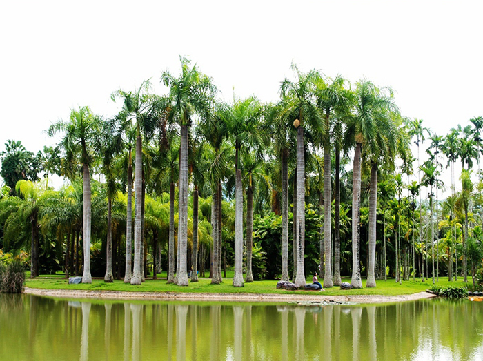 ����ֲ��԰